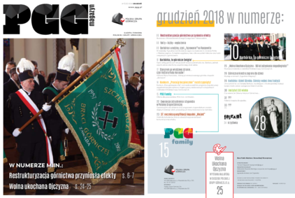 Gazeta Firmowa: MagazynPGG_11/2018